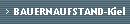 BAUERNAUFSTAND-Kiel